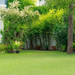 Spacious backyard grass garden, plants and flowers decorate the house.