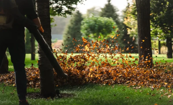 A woman operating a heavy duty leaf blower. Leaves being swirled up